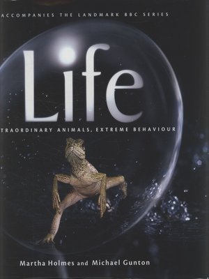 cover image of Life